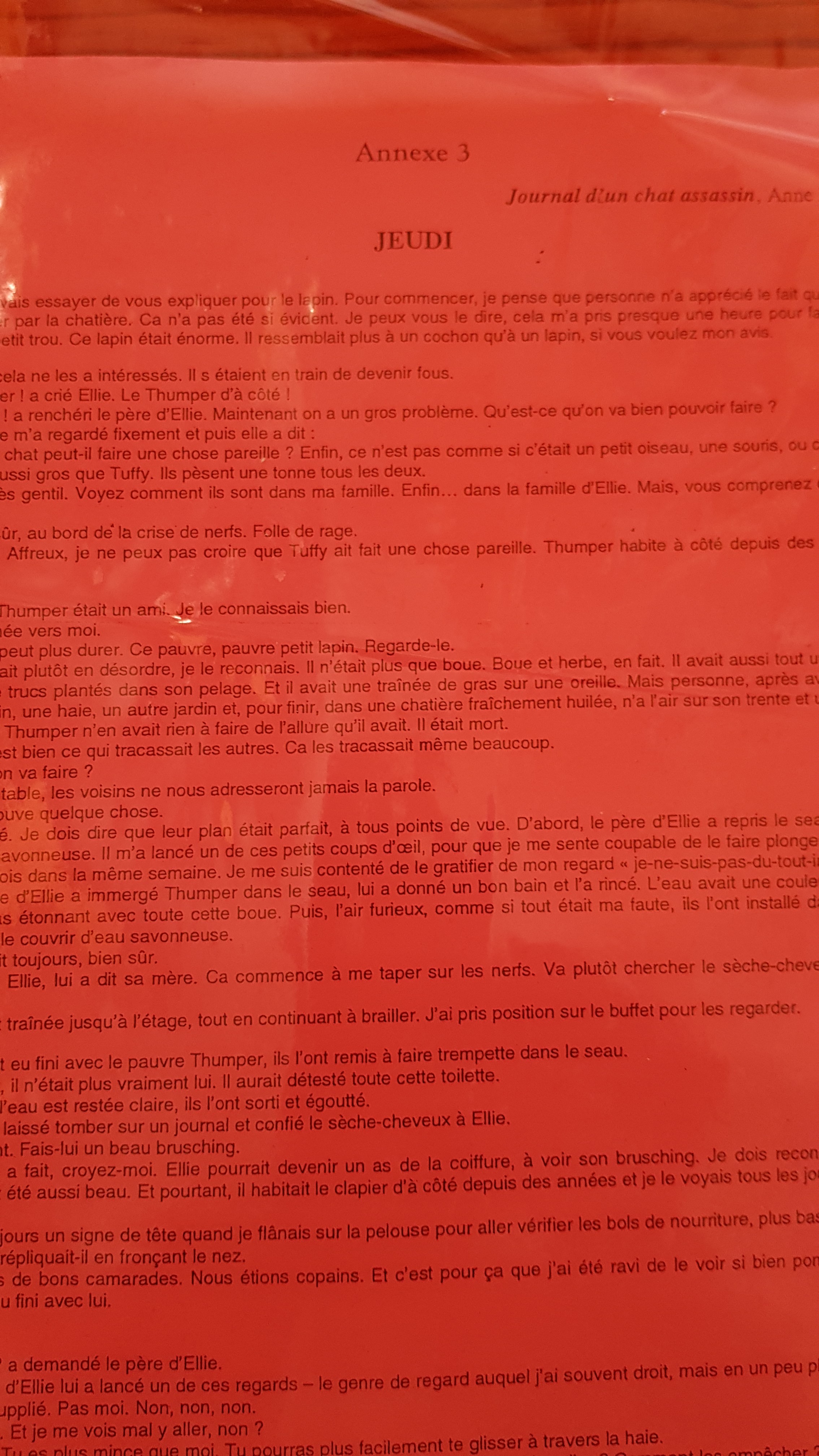 Texte avec cache rouge