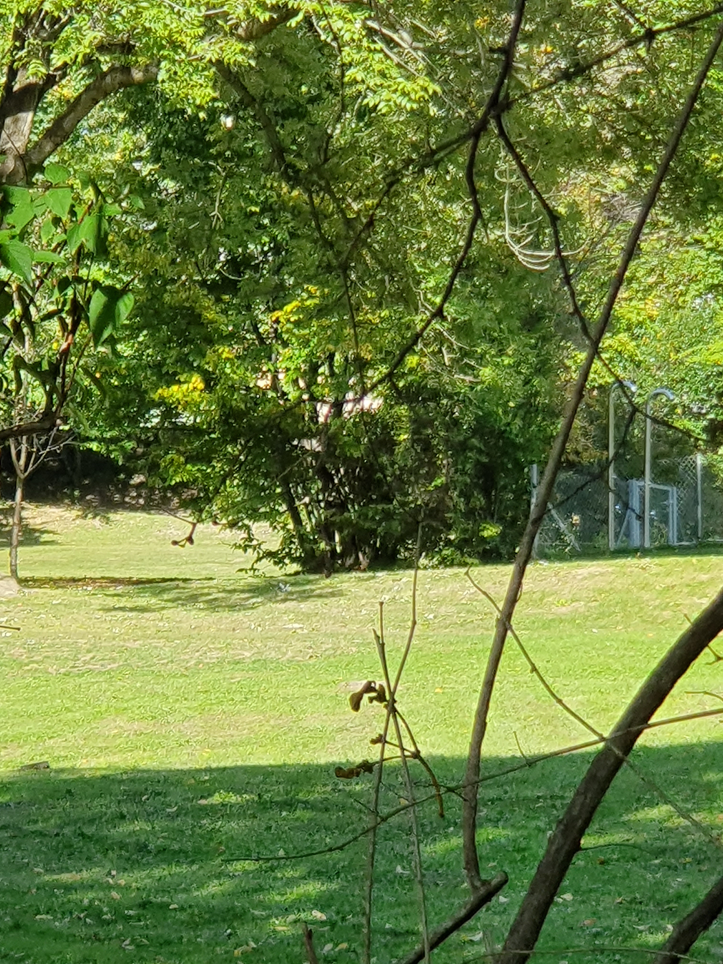 Ecole maternelle spéciale Graz 4