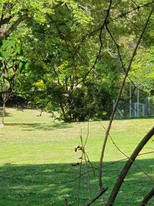 Ecole maternelle spéciale Graz 4