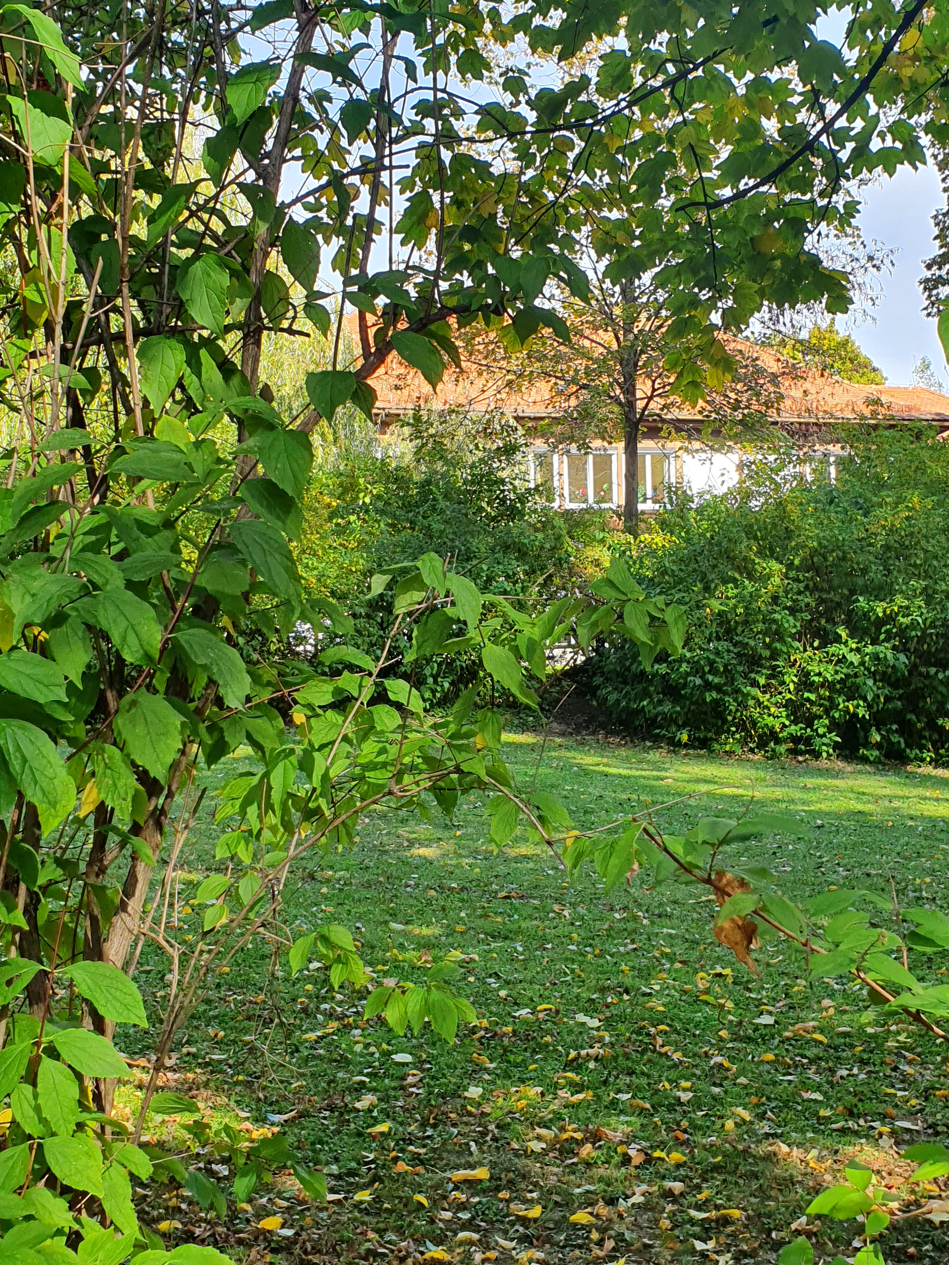 Ecole maternelle spéciale Graz 5