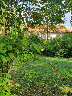 Ecole maternelle spéciale Graz 5