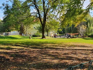 Ecole maternelle spéciale Graz 6