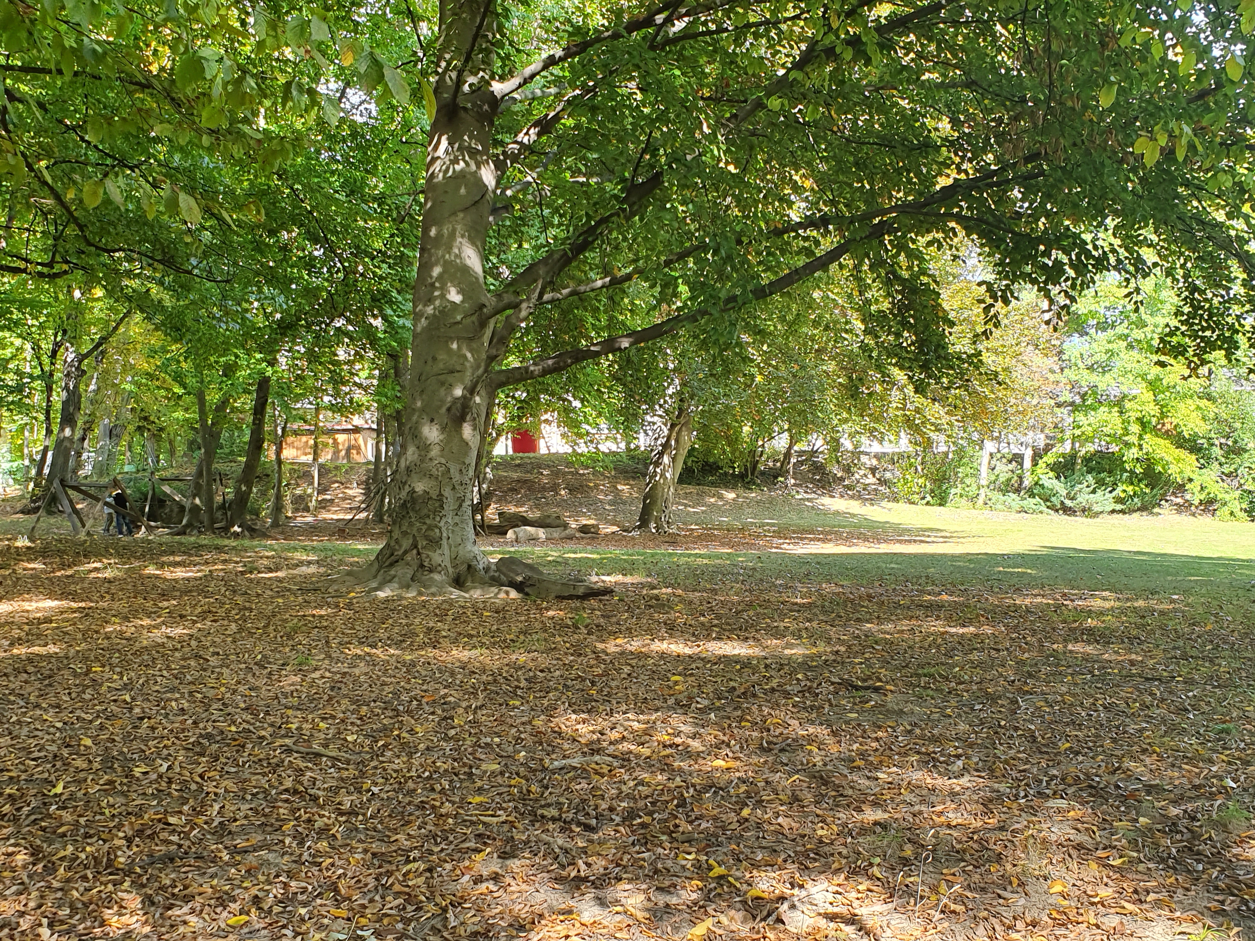 Ecole maternelle spéciale Graz 7